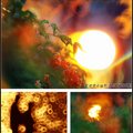 SAMYANG 500mm F/6.3 反射鏡反射式鏡頭〈清倉價〉
「甜甜圈」油畫散景
巨傑攝影器材  電話： 02-82421135
