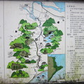 春光 - 1