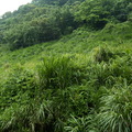 土地現況買前照片 030.jpg