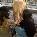這次女壘隊帶著非常高的期望及自我期許參加這次比賽，但沒想到投手調整失當，鎩羽而歸，連前八強都無法進入，與屏東武潭可謂難兄難弟，雖然成績不理想，但小朋友收穫卻是非常豐碩，且看照片會說話.....