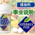綠加利事業-簡體版說明