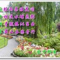 用心靈彩繪～用文字堆砌
如詩如畫～描繪出屬於自己的色彩
