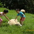 小孩與綿羊