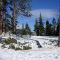 太浩湖（Lake Tahoe）位居舊金山東方，約3.5小時車程可達，是舊金山區的冬季滑雪勝地。