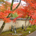 京都嵐山