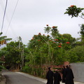 鄉間小路