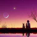 一同仰望星空下的夜火