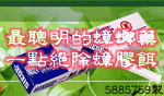 要用到的圖片
