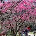 2012陽明公園