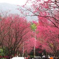 復興三路