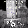 見不見--來不來