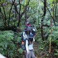 假日登山訓練活動(補訓)(1001219) - 31