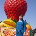 台灣燈會在苗栗2011
