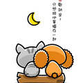 kitty