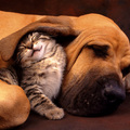 To all my friends, thanks for sharing.