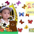 collections of babies' photographs