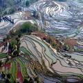 梯田