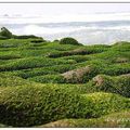 石門之旅》老梅石槽 - 5