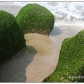 石門之旅》老梅石槽 - 2