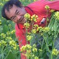 花花詩界.詩詩花界.詩詩詩.花花花....................