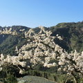 鳶山步道 - 1