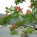 您可自由重製、散布、展示及演出本著作，但禁止改變、轉變或改作本著作；且須按作者或授權人所指定的方式保留其姓名標示；並不得為商業目的而使用本著作。