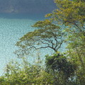 春水