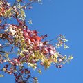 f_297123_1.jpg