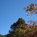 f_297126_1.jpg