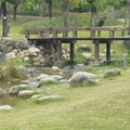 雖然是植物園攝影
不過內容是不著重植物的