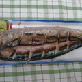 97.06.29.黃金飯、鹽烤四破魚、蛤蠣炒絲瓜、素炒油菜、乾煎海鱸。