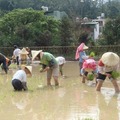 聽說泥土裡有快樂菌