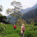 錐麓古道 - 5