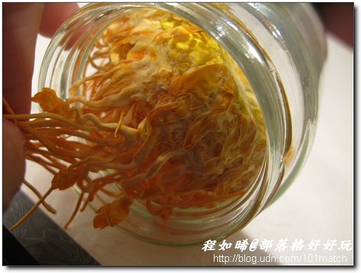 蟲草入菜的美食體驗@慕求中華黃金冬虫夏草概念館