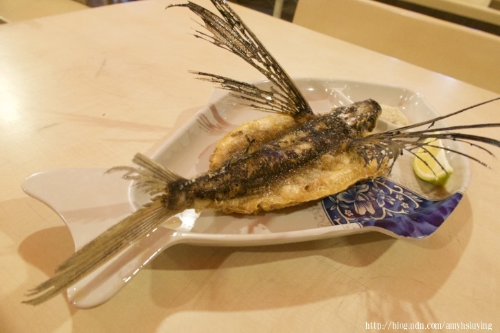 東大門國際觀光夜市找美味:原住民一條街品味新鮮飛魚、冠軍料理「一鍋一燒」