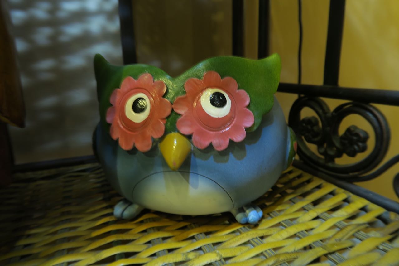 花蓮縣遊：玉里【Koukouvagia 咕咕發芽咖啡驛棧 】（貓頭鷹咖啡驛站）