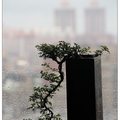 風雨中﹐我與妳相遇
