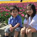 Skagit Valley