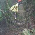 7:20小碧潭捷運站1號出口集合→8:00草湳大榕樹登山口→二格山、猴山岳→13:30~14:00回草湳大榕樹登山口→14:10~14:40回小碧潭捷運站1號出口解散。