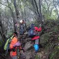 7:20小碧潭捷運站1號出口集合→8:00草湳大榕樹登山口→二格山、猴山岳→13:30~14:00回草湳大榕樹登山口→14:10~14:40回小碧潭捷運站1號出口解散。