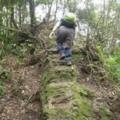 小碧潭捷運站1號出口集合→草湳大榕樹登山口→二格山→猴山岳→阿柔洋產業道路→中餐→回程→草湳大榕樹→回小碧潭捷運站。