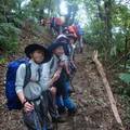小碧潭捷運站1號出口集合→草湳大榕樹登山口→二格山→猴山岳→阿柔洋產業道路→中餐→回程→草湳大榕樹→回小碧潭捷運站。
