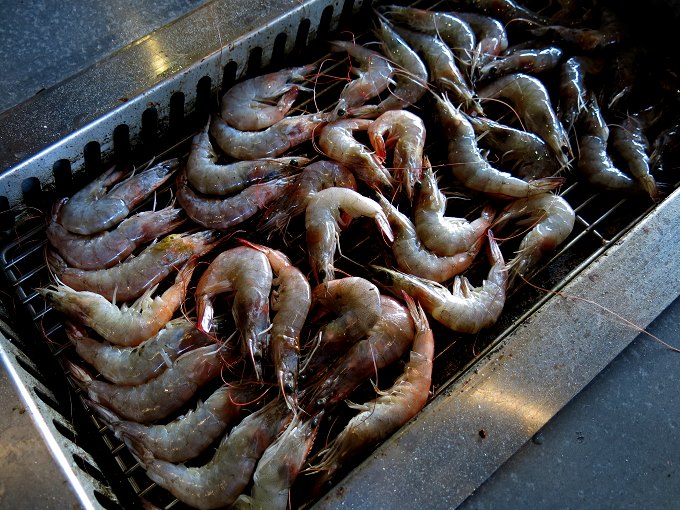 宜蘭市 ... 漁港來的新鮮味道 海之霸海鮮燒烤