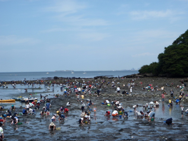 海の公園で潮干狩り 日文 Overseacccjapan 的部落格 Udn部落格