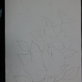 作品賞析