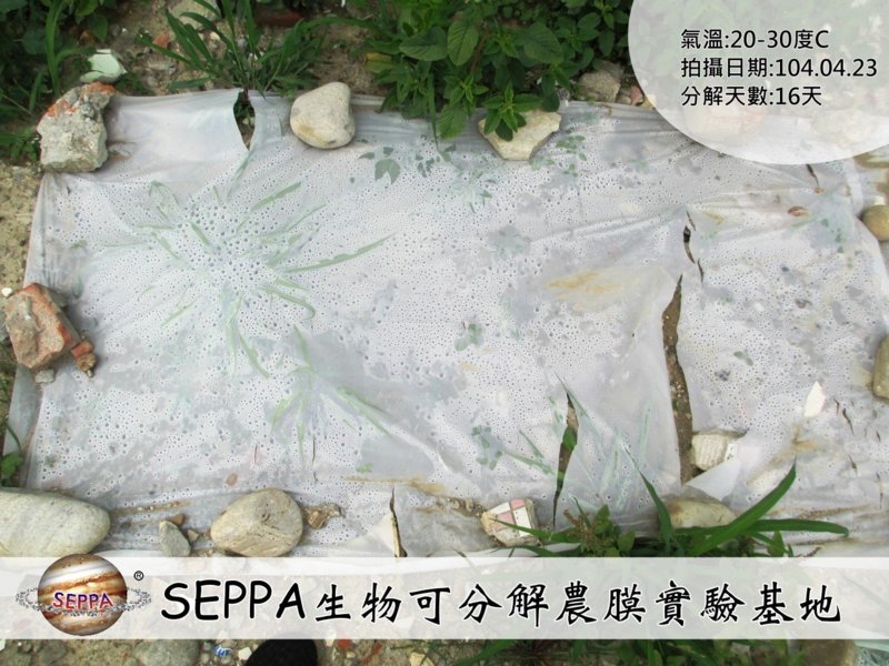 SEPPA生物可分解環保塑膠原料,食品級FDA、ROHS無毒認證,非玉米PLA、澱粉材料,台灣青榕實業獨家製造 SEPPA生物可分解環保塑膠原料,食品級FDA、ROHS無毒認證,非玉米PLA、澱粉材料,台灣青榕實業獨家製造