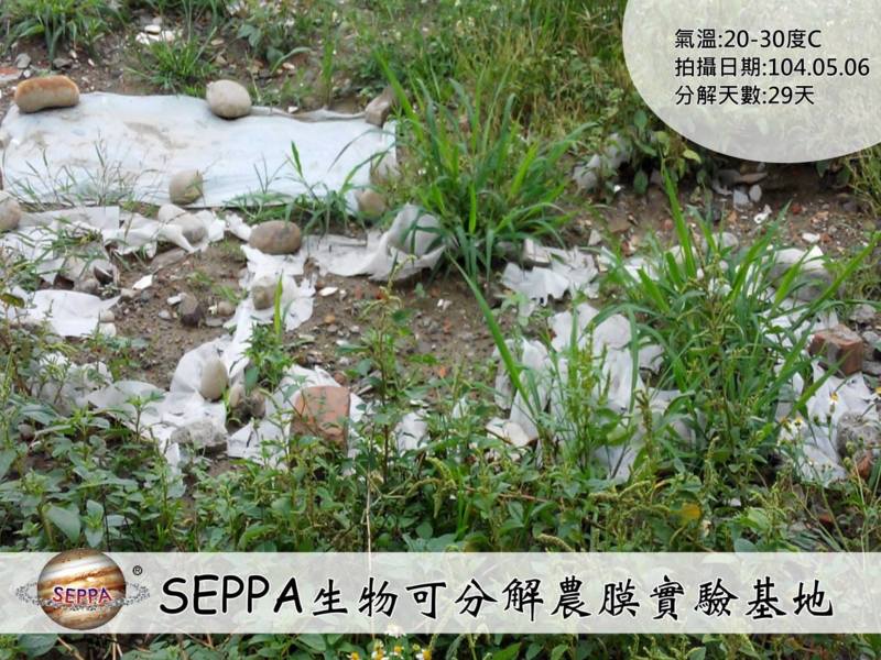 SEPPA生物可分解環保塑膠原料,食品級FDA、ROHS無毒認證,非玉米PLA、澱粉材料,台灣青榕實業獨家製造 SEPPA生物可分解環保塑膠原料,食品級FDA、ROHS無毒認證,非玉米PLA、澱粉材料,台灣青榕實業獨家製造