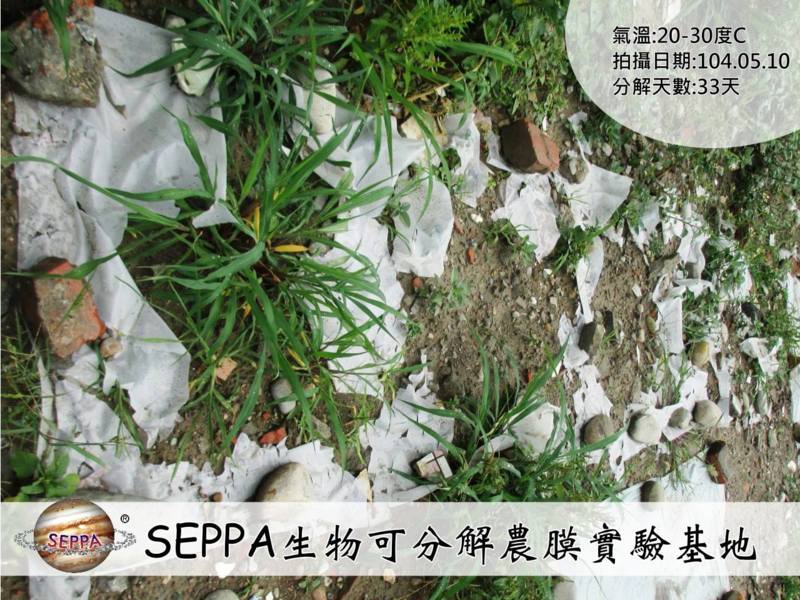 SEPPA生物可分解環保塑膠原料,食品級FDA、ROHS無毒認證,非玉米PLA、澱粉材料,台灣青榕實業獨家製造 SEPPA生物可分解環保塑膠原料,食品級FDA、ROHS無毒認證,非玉米PLA、澱粉材料,台灣青榕實業獨家製造