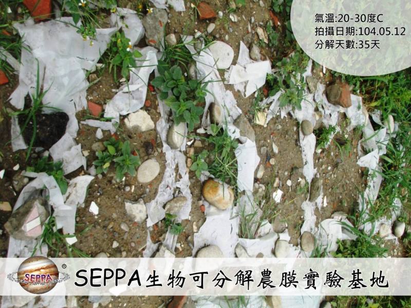 SEPPA生物可分解環保塑膠原料,食品級FDA、ROHS無毒認證,非玉米PLA、澱粉材料,台灣青榕實業獨家製造 SEPPA生物可分解環保塑膠原料,食品級FDA、ROHS無毒認證,非玉米PLA、澱粉材料,台灣青榕實業獨家製造