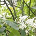 佛頂山朝聖寺三義道場創建於民國九十一年，屬新興佛教勝地，乃上地下清法師創建，毗鄰森林雕刻公園、不遠山莊。